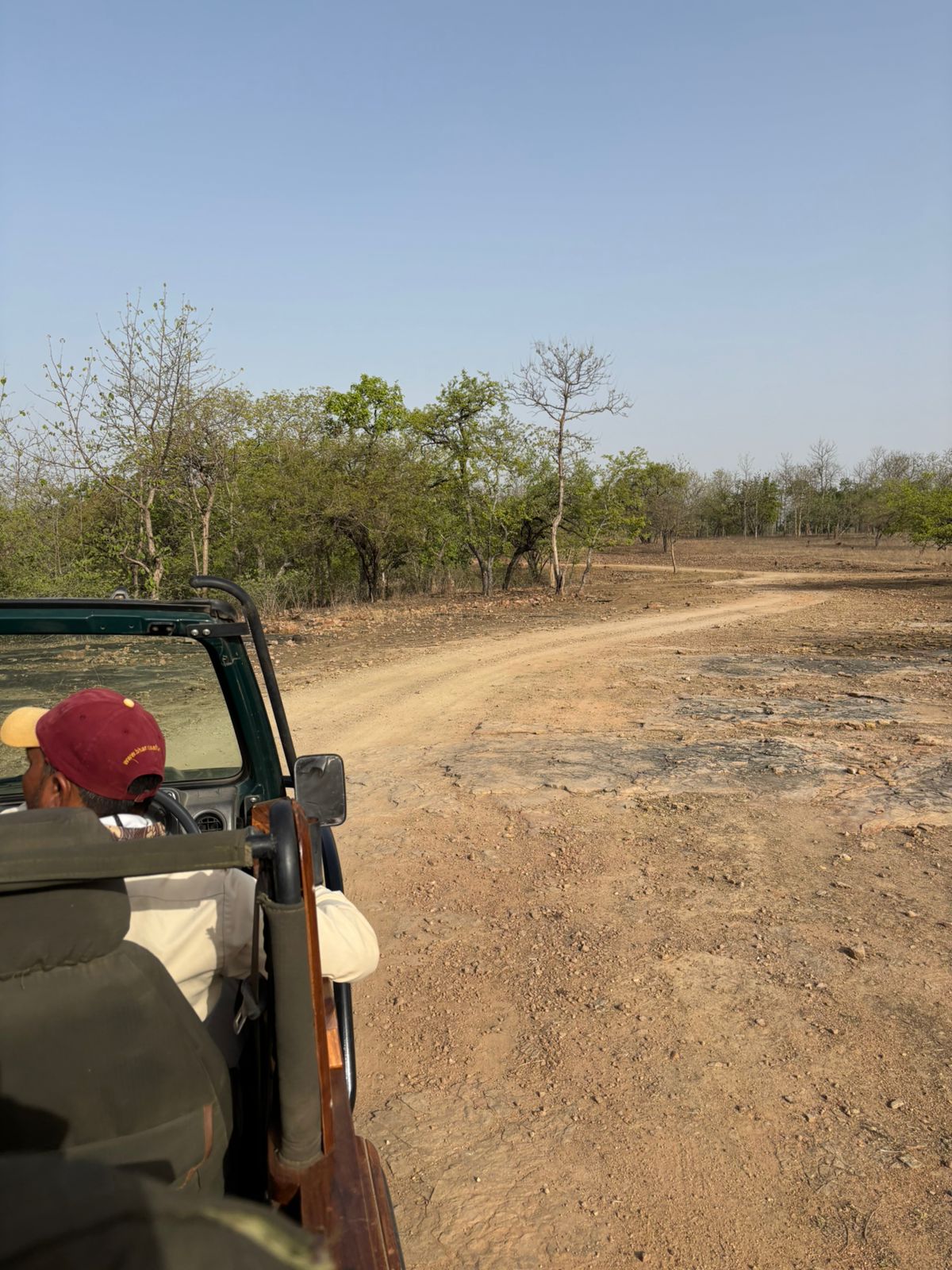 Safaris